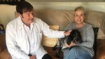 Dylan the Dog cured of being paralysed